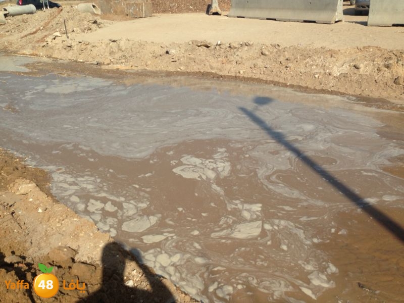 onbob samekh 7et (3).jpg